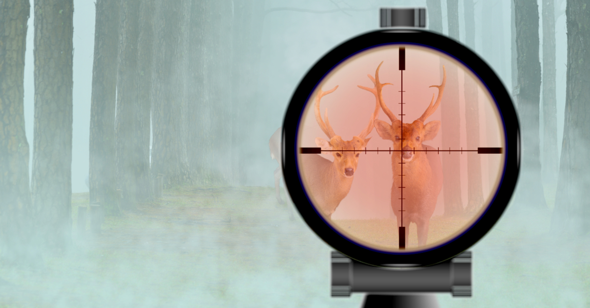 how to choose a reticle